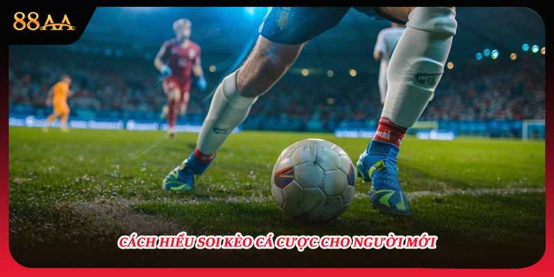 Cách hiểu soi kèo cá cược cho người mới