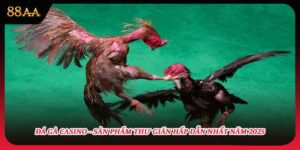 Đá Gà Casino - Sản Phẩm Thư Giãn Hấp Dẫn Nhất Năm 2025