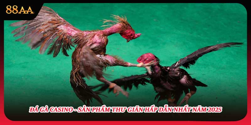 Đá Gà Casino - Sản Phẩm Thư Giãn Hấp Dẫn Nhất Năm 2025