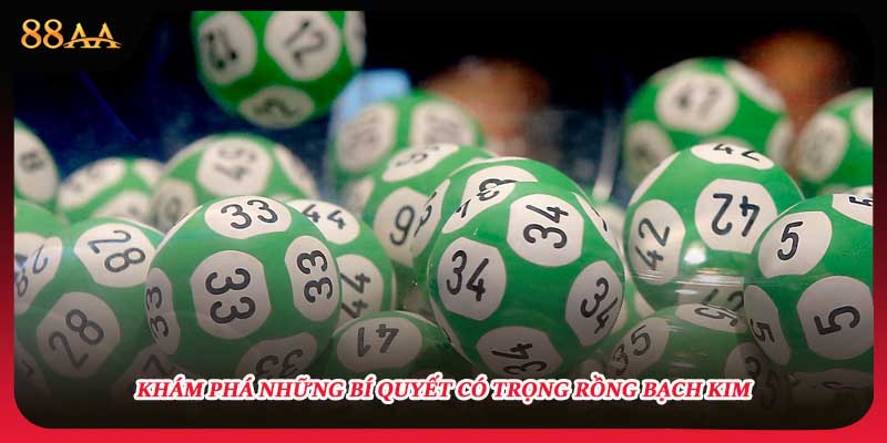 Khám phá những bí quyết có trọng rồng bạch kim