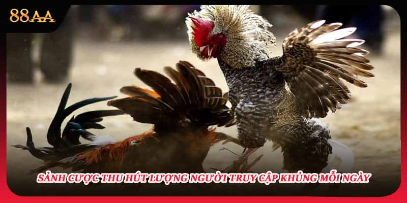 Sảnh cược thu hút lượng người truy cập khủng mỗi ngày