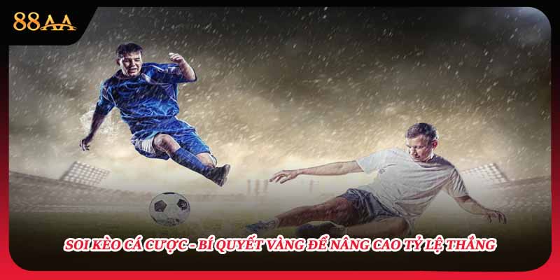 Soi Kèo Cá Cược - Bí Quyết Vàng Để Nâng Cao Tỷ Lệ Thắng