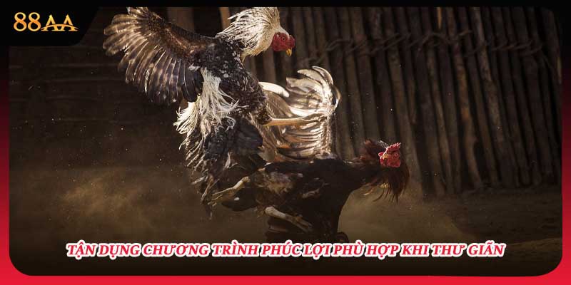  Tận dụng chương trình phúc lợi phù hợp khi thư giãn 