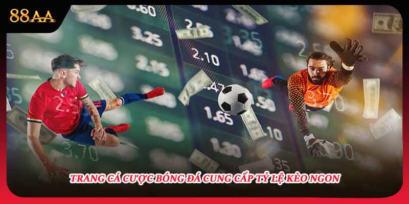 Trang cá cược bóng đá cung cấp tỷ lệ kèo ngon